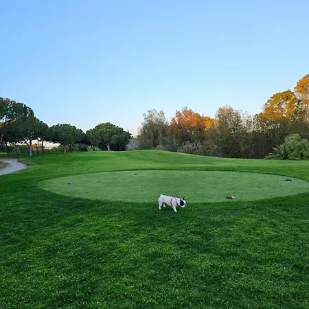 Citadela I, Golfe, Pool And Falesia Vilamoura